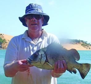 Bream of all sorts are caught from the rocks in the Yellow Patch channel including this blubberlip bream.